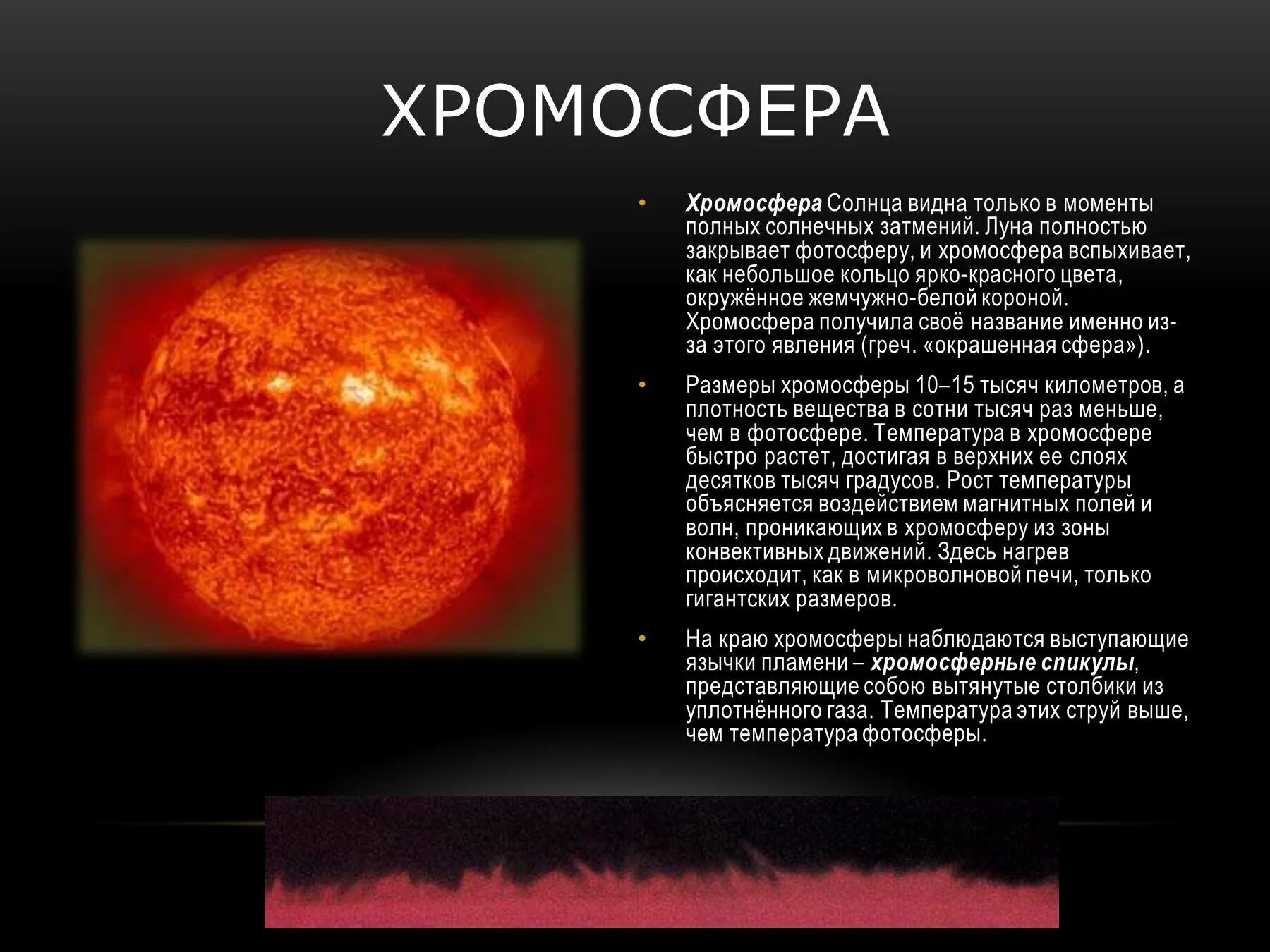 Солнце и звезды астрономия 11 класс. Краткое хромосфера солнца. Строение солнца хромосфера. Структура хромосферы солнца. Описание хромосферы солнца.