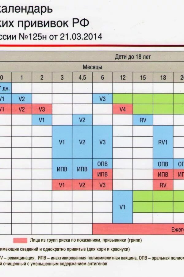 Вакцинация в 6 месяцев. В год прививки детям таблица России. Календарь прививок для детей до 1 года в России таблица. Календарь прививок для детей в России 2022. Календарь прививок для детей до 3 лет в России таблица.