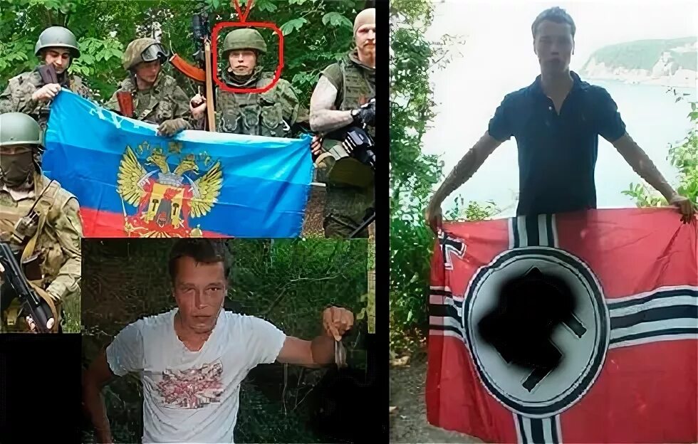 Мильчаков живодер. Мильчаков живодер