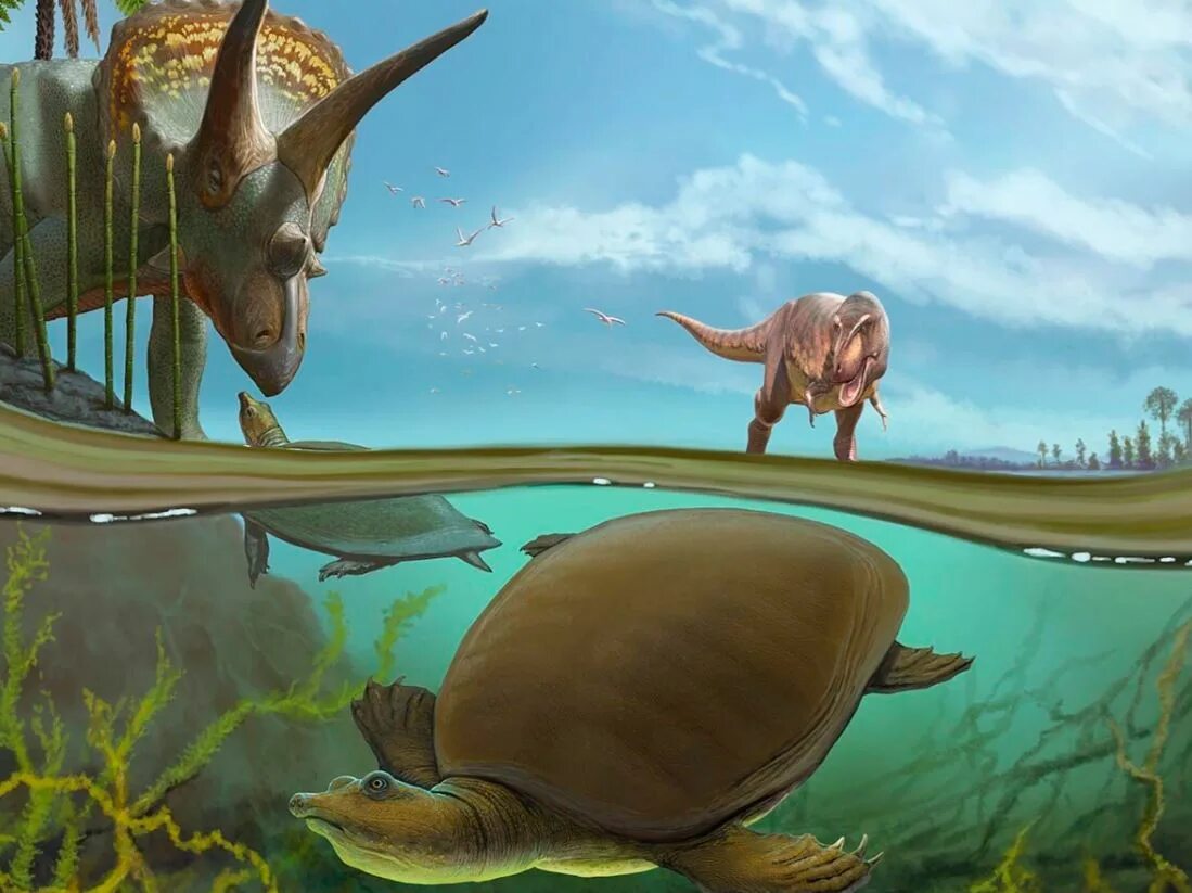 Динозавр жил в воде. Динозавры мезозойской эры. Меловой период мезозойской эры. Мезозойская Эра вымирание динозавров.