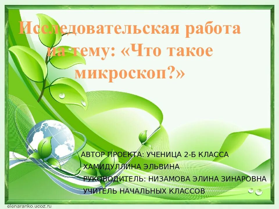 Исследовательская работа растительный и животный мир