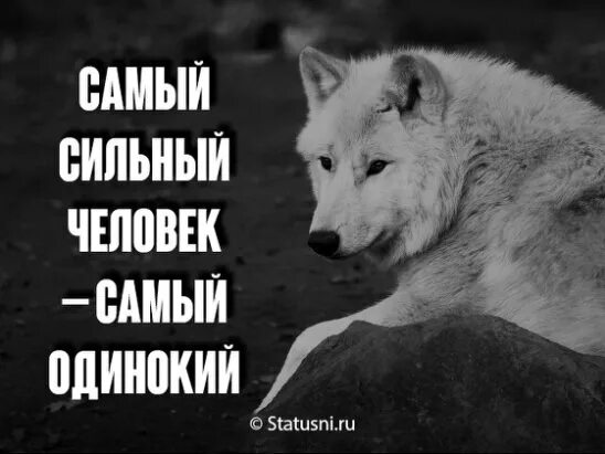 Сильные люди всегда одиноки. Сильные цитаты про одиночество. Сильные люди одиноки. Сильные одиноки. Сильные одиноки.