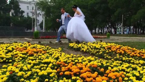 Загс комсомольск на амуре