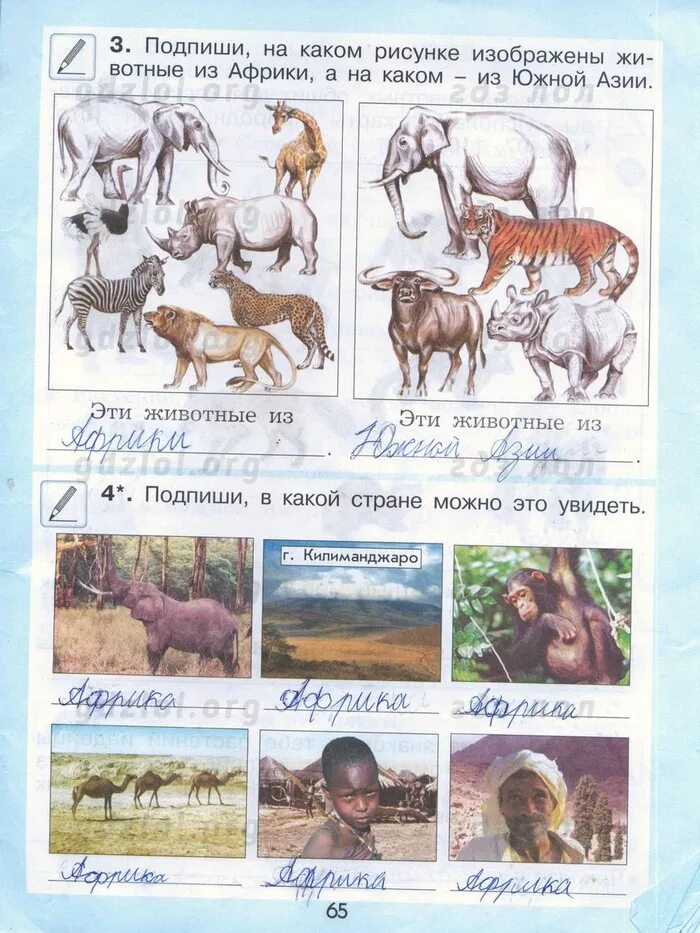 математика рабочая тетрадь 2 ответы. математика 3 класс рабочая тетрадь стр 65. окр мир тетрадь а. математика рабочая тетрадь второй класс вторая часть страница 24. окружающий мир 3 класс рабочая тетрадь плешаков стр 65.