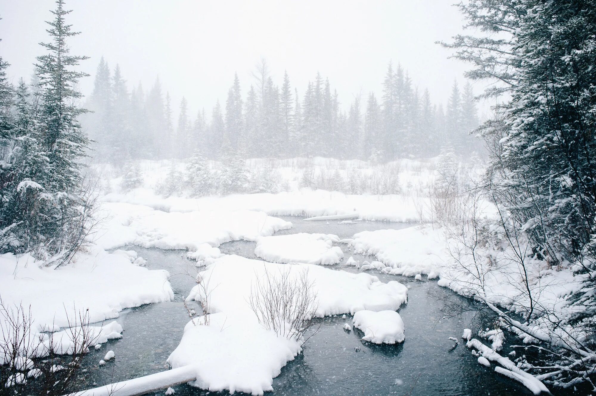 Russia winters are cold. Холодная зима. Зима холода картинки на рабочий стол. Колдест Винтер.