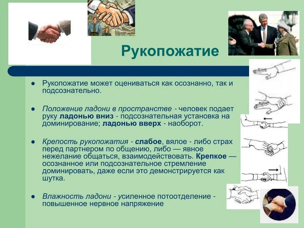 Трактовка доминирующего рукопожатия рука. Способы рукопожатия. слабое рукопожатие. виды рукопожатий.