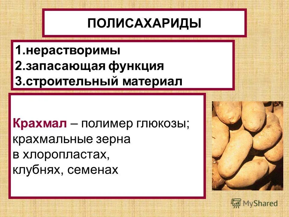 Запасающая функция кости. Полисахариды запасающие и. Функции полисахаридов. Структурные и запасающие полисахариды. Полисахариды в растениях.