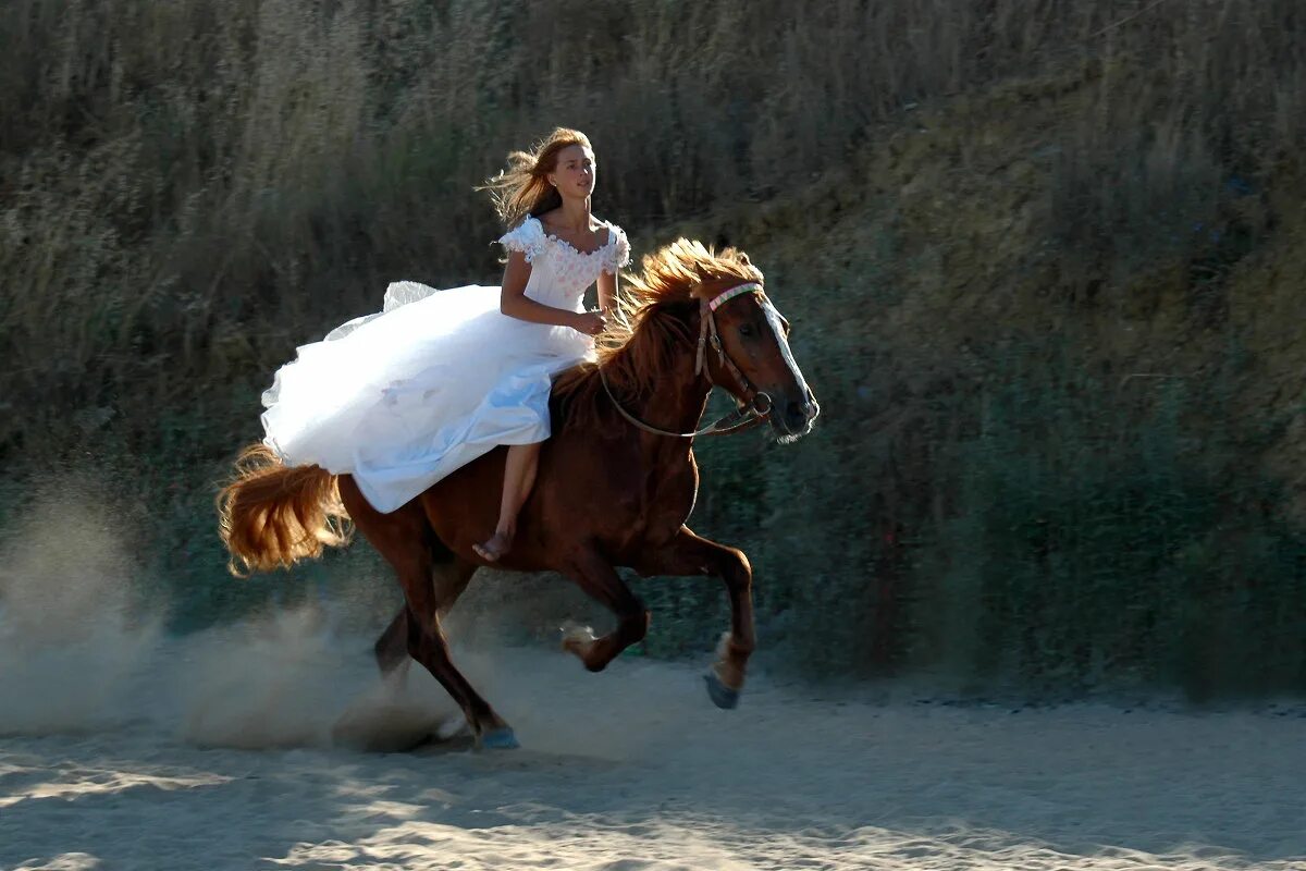 Догони люби. Девушка верхом на лошади. Женщина на коне. Девушка на коне верхом. Девушка скачет на лошади.