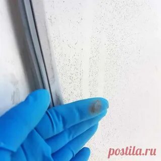 Грунтовка окна