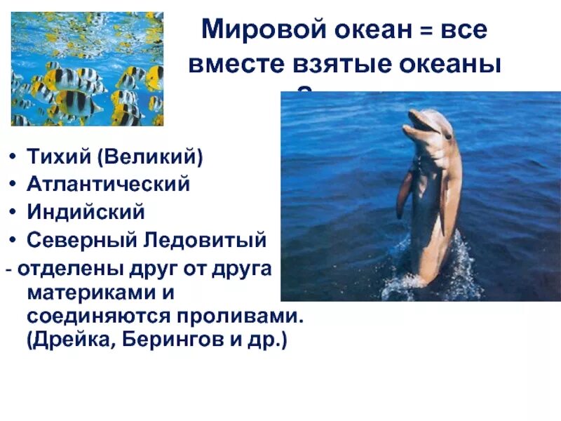Сообщение о мировом океане 6 класс. Опасности океана география. опасность океанов доклад. опасности океана 6 класс. опасности океана география 6 класс.