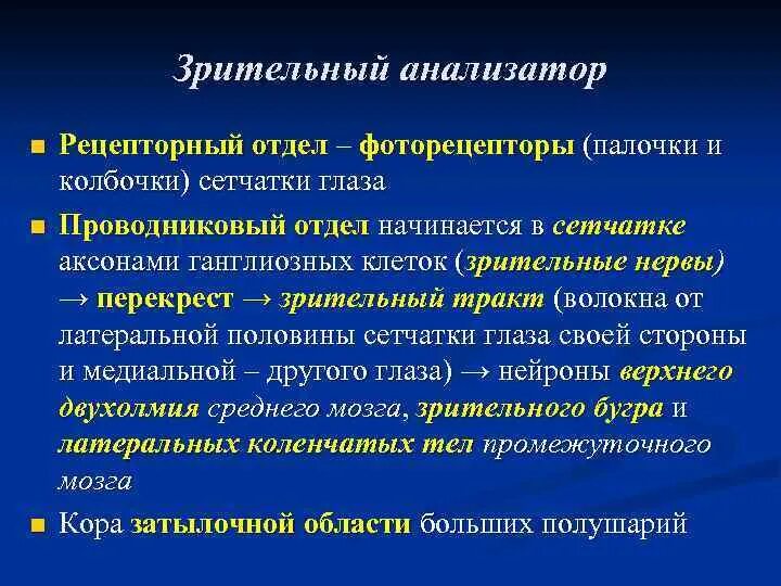 Зрительные рецепторы и их функции