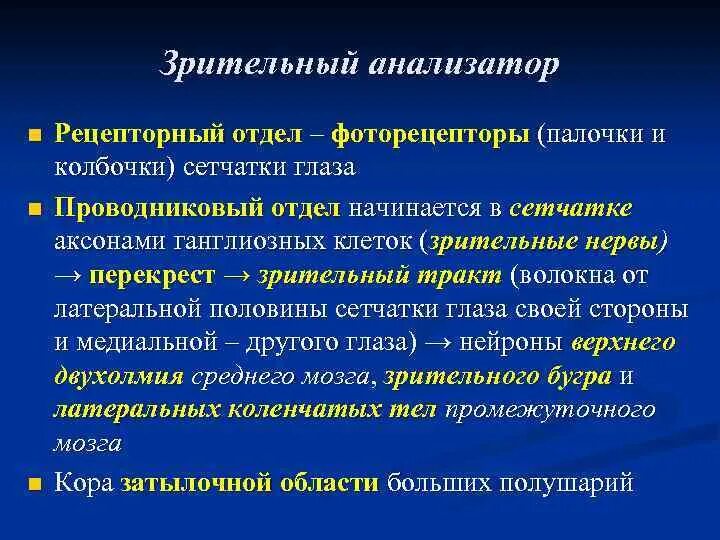 Зрительные рецепторы это. Рецепторный аппарат зрительного анализатора. Зрительный анализатор палочки и колбочки. Проводниковый отдел зрительного анализатора. Рецепторный аппарат глаза функции.