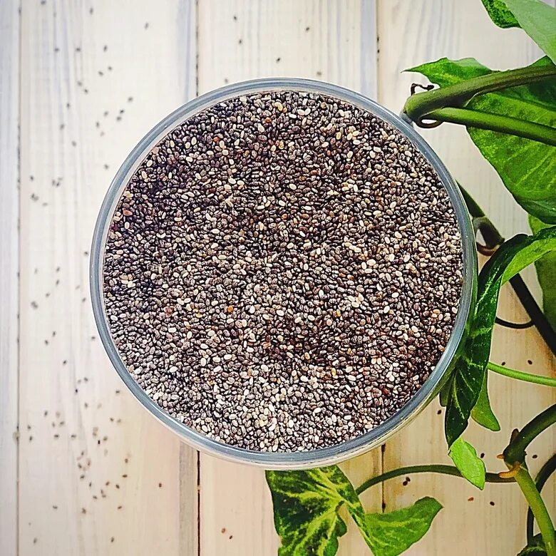 Сколько есть семена чиа. Семена чиа. Chia Seeds растение. Семена чиа Спар. Чиа Слоник.