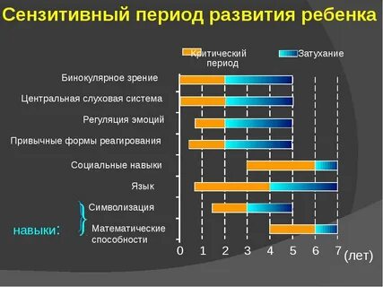 Сенсорный период развития ребенка
