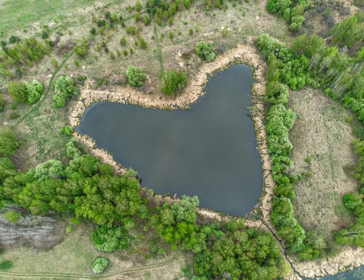 Огайо озеро сердце. Водоем в виде сердца. Осиное озеро в ульяновске. Координаты озера в виде сердца. Координаты озера в виде сердца.