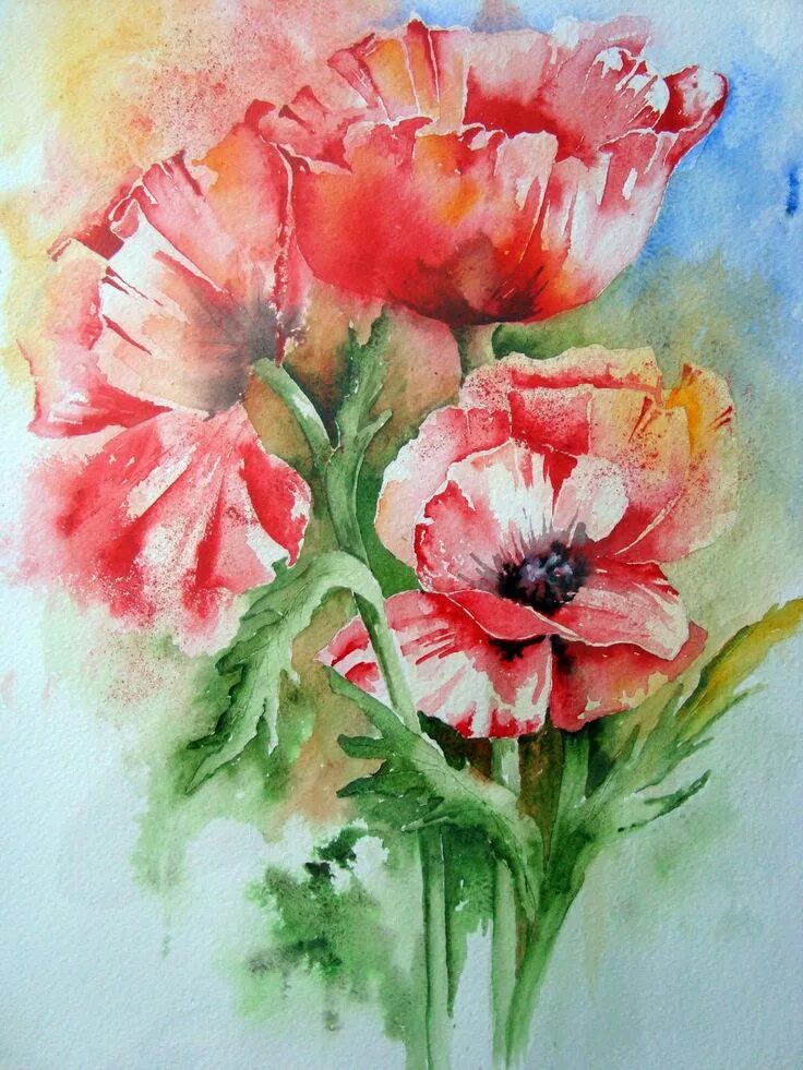 Paint flowers. Ивонн Харри. Художник Yvonne Harry акварель. Yvonne Harry акварель маки. Ивонн Харри картины.