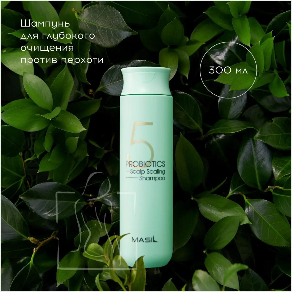 Masil 5 probiotics scalp scaling shampoo. Masil 5 probiotics scalp scaling shampoo