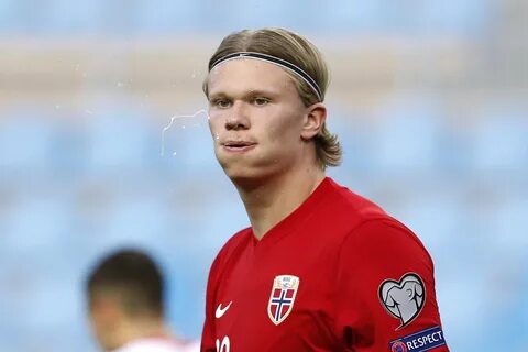 D holland