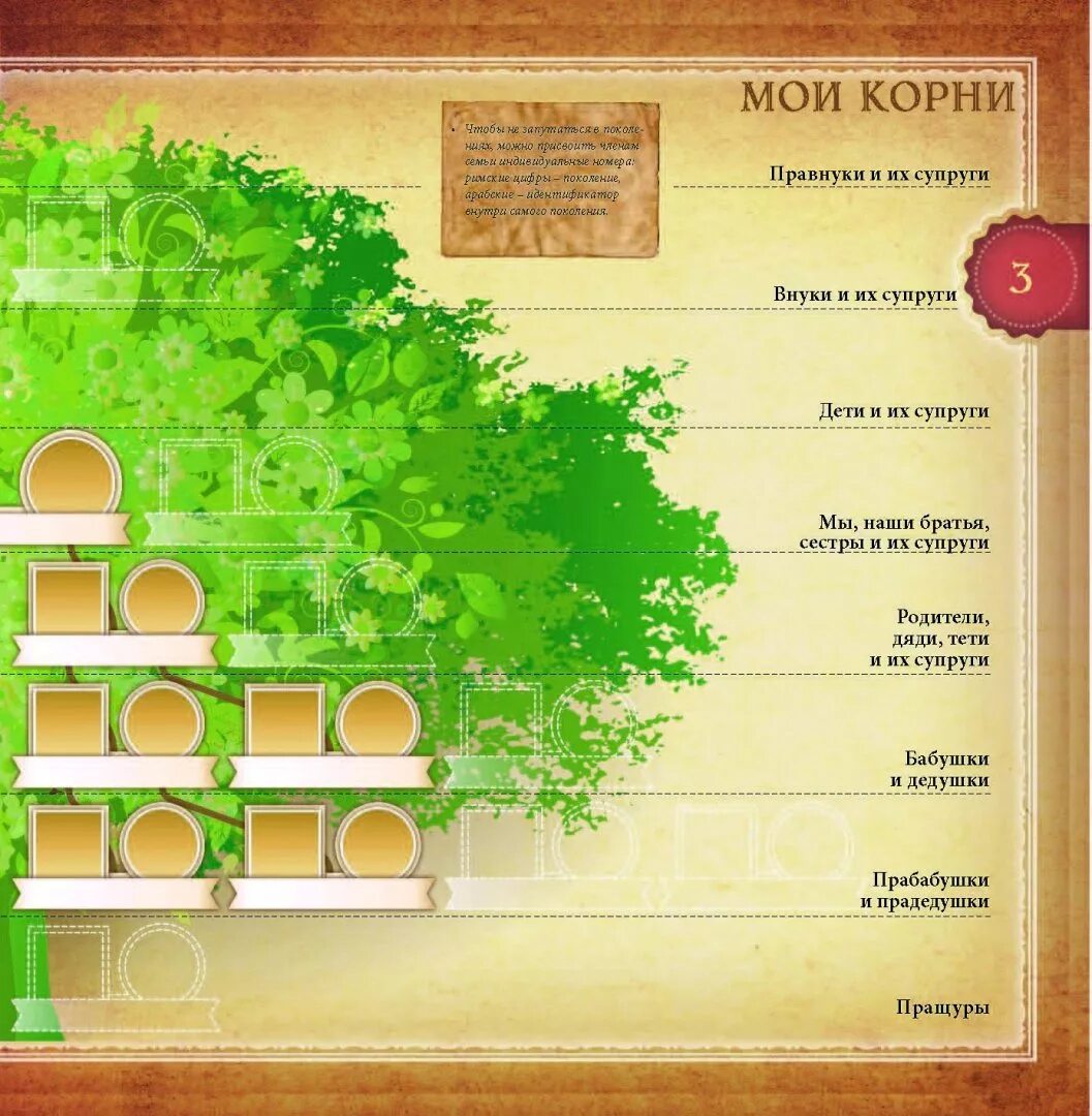 Книга. Страницы родословной книги. Родословная книга обложка. Альбом род. Фон для генеалогического древа.