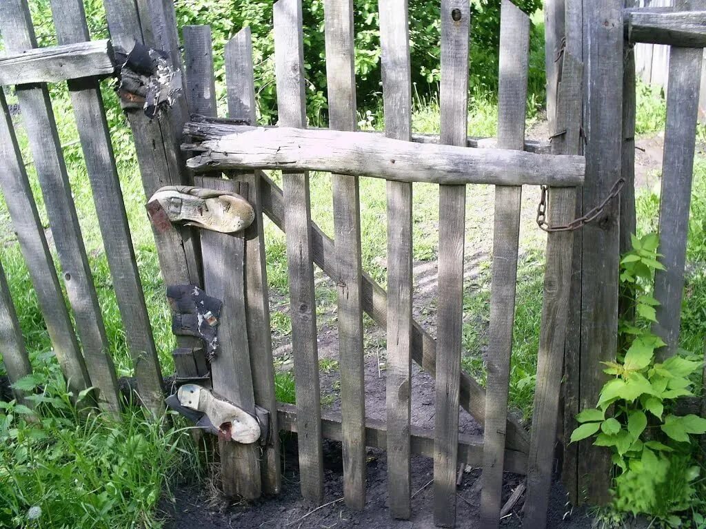 Открываясь дверь скрипнула