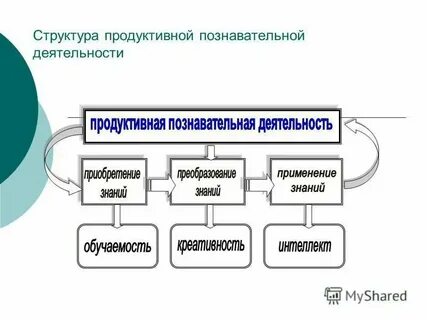 Деятельность человека носит сознательный и продуктивный характер