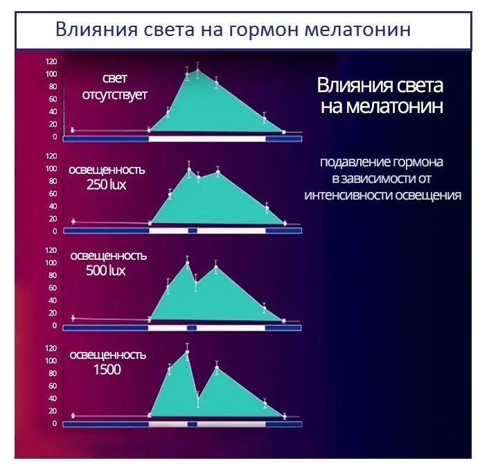Свет в ночное время подавляет выработку гормона