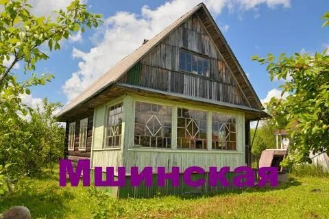 Мшинская луга