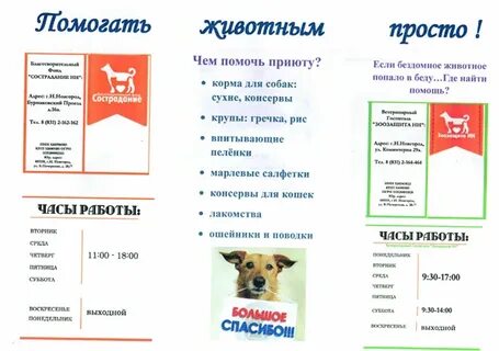 Социальный проект для животных