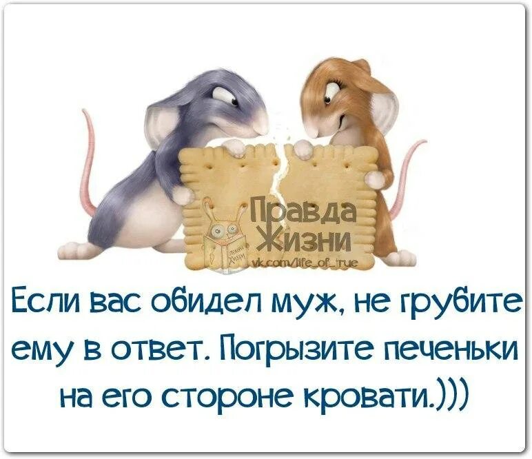 правда о любви. правда дня картинки. день правды. газета 1941 года. игра правда неправда картинки.