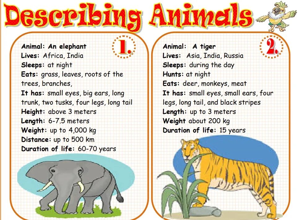 Рассказ на английском языке. Animals текст. Description of animals for children. Describe animals Worksheet. Description p