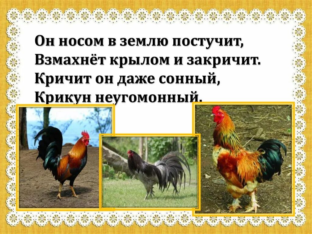 Петух и собака русская народная сказка план. Петух и собака. Петух и собака 1 класс. Презентация петух и собака. Петух и собака сказка.