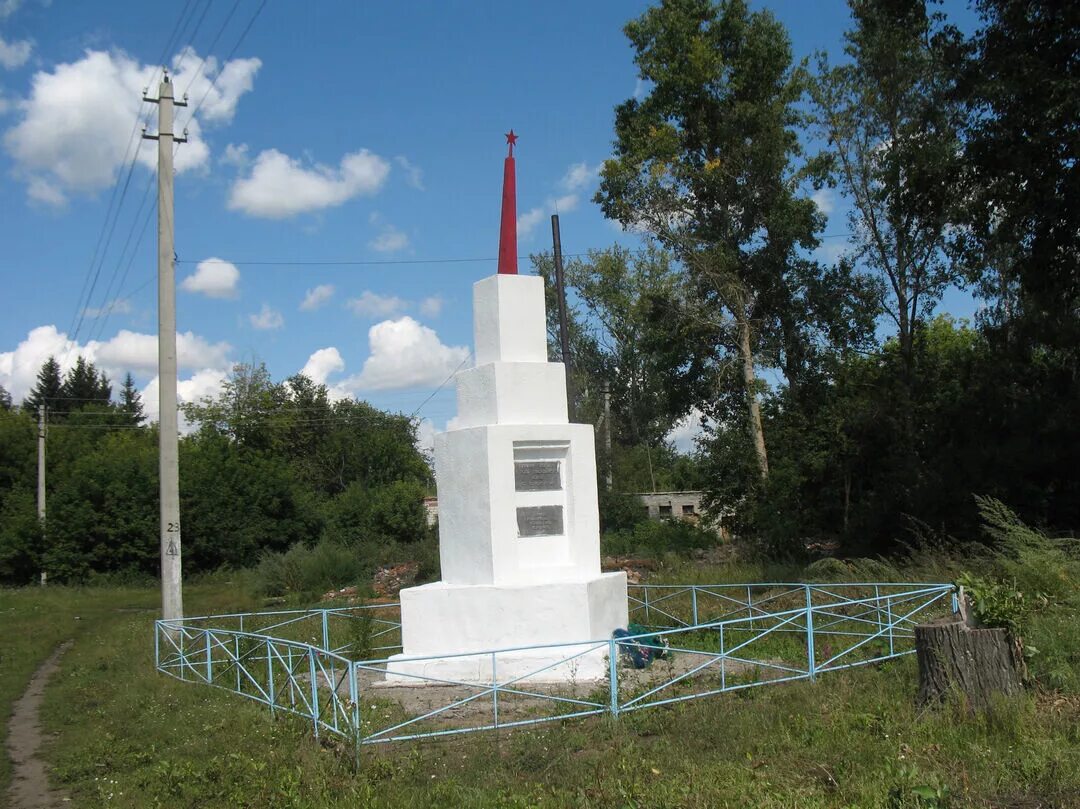 Село Кадниково Мамонтовского района Алтайского края. Алтайский край Мамонтовский район деревня крестьянка. С Гришенское Мамонтовского района Алтайского края. Село Кадниково Мамонтовский район. Кадниково алтайский край мамонтовский