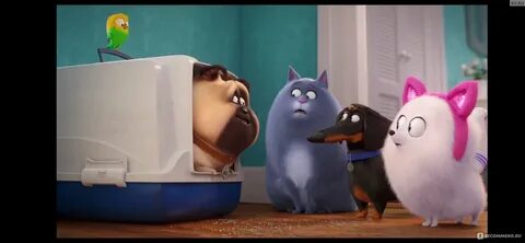 Secret life of pets english