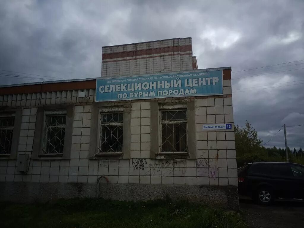 ул уч. ул. учебная улица 2г козьмодемьянск. томск ул учебная 1/1. ул уч.