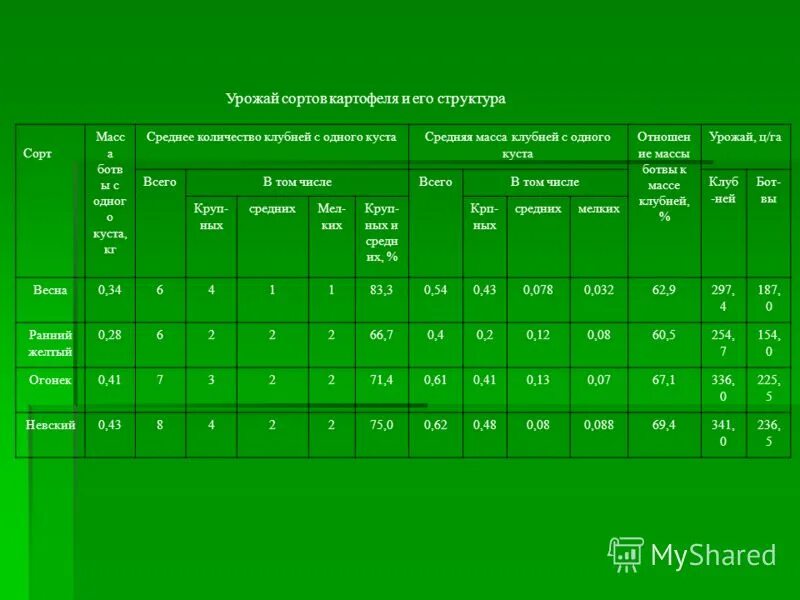 в начале года 1 кг картофеля