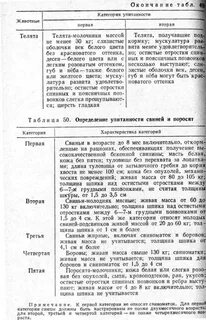 Через сколько свиньи приходят в охоту