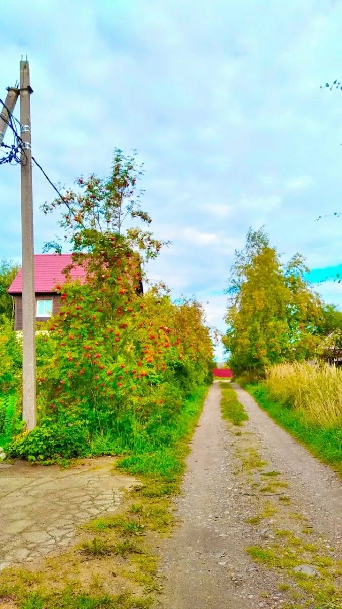 Зеленый ветер 2 снт красногорский. Снт красногорское спб вывеска. Снт красногорское ленинградская область. Снт красногорское ленинградская область. Зеленый ветер 2 снт красногорский.