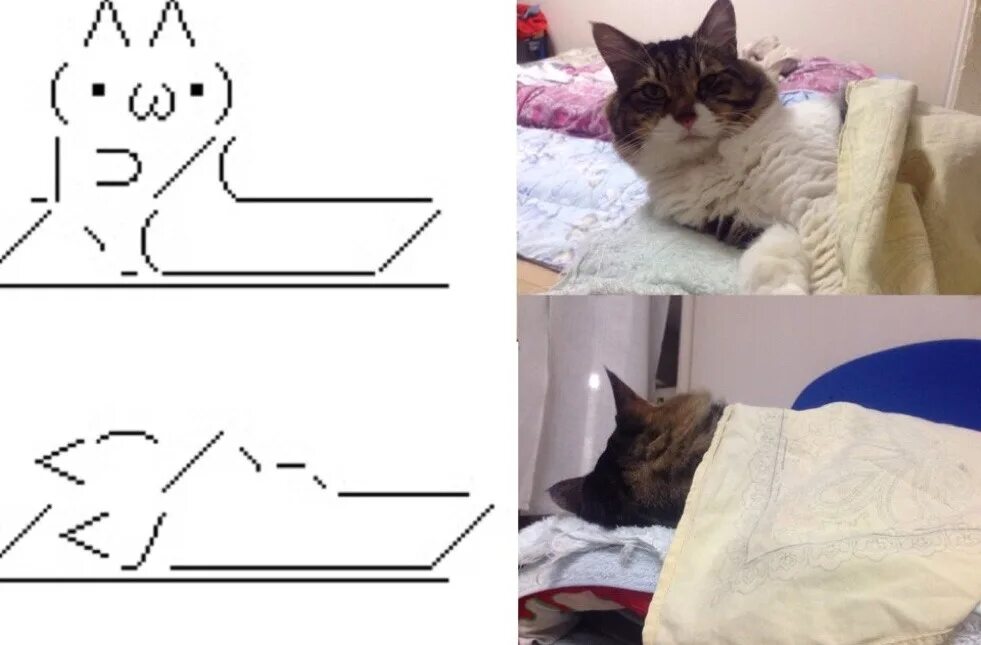 Движение первых кот. Мемы с нарисованными котами. Схемы поделок кот Сонный. Котик из 1с.