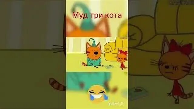 Три кота ссора