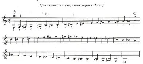 Гамма вариант