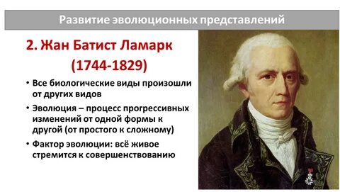 Происхождение видов 9 класс