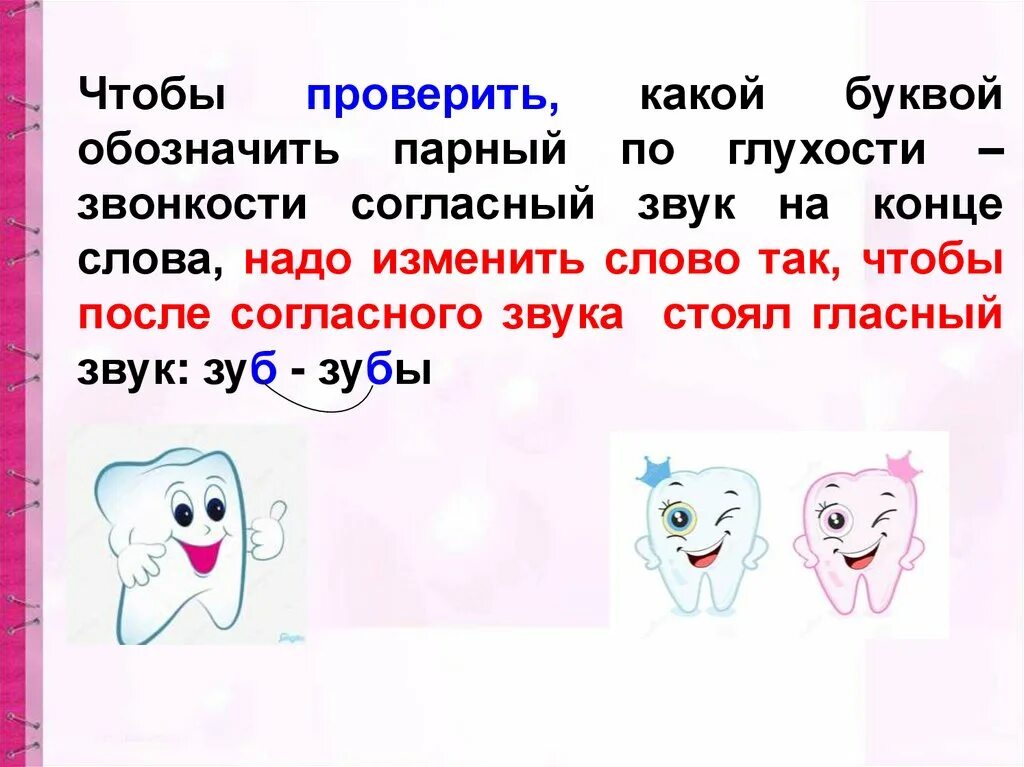 Написание буквы обозначающей парный по глухости-звонкости согласный. Правописание слов с парным согласным звуком. Правописание парного по глухости звонкости согласного. Парный по глухости звонкости согласный звук на конце слова. Хомячок согласные звуки