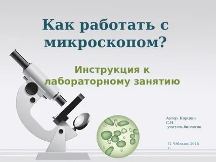 Биология 5 класс правила работы с микроскопом