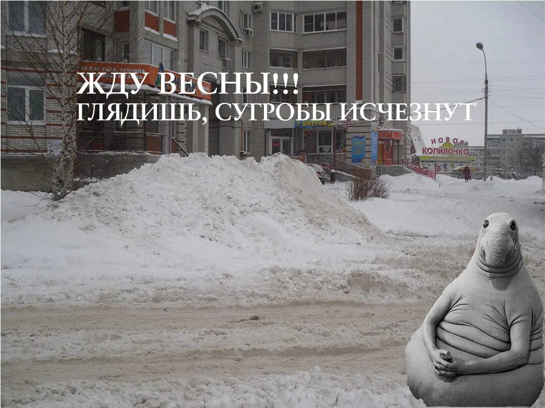 Начинаем ждать весну