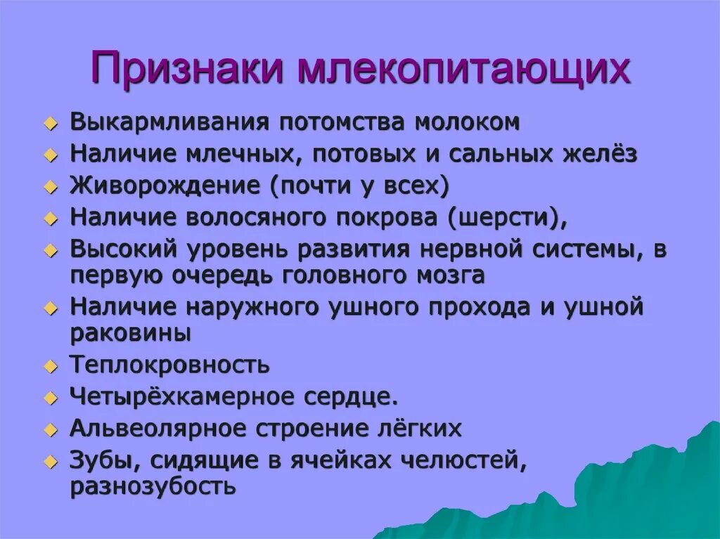 Назовите характерные признаки млекопитающих биология