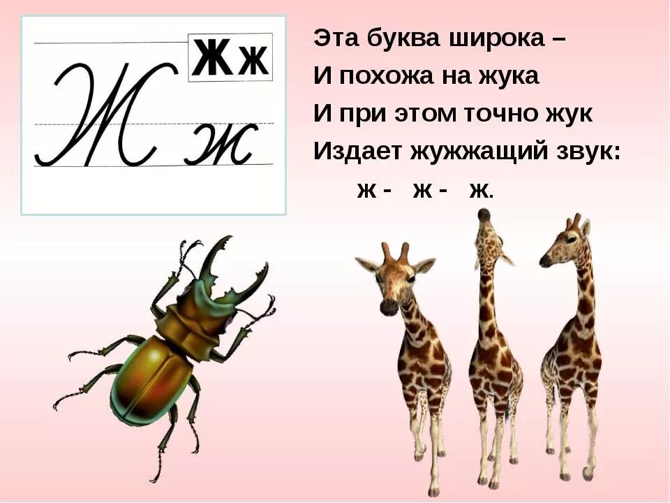 Буква ж звук обозначаемый. Буква ж презентация. Буква ж для дошколят. Стих про букву ж. Звук ж буква ж.