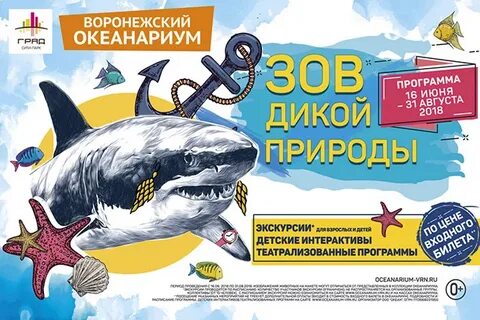 Океанариум скидки