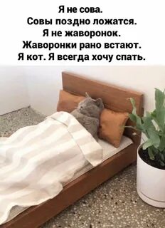 Спать ложусь завтра рано вставать