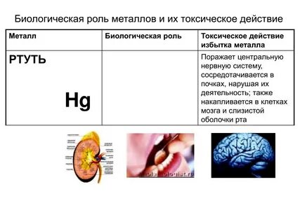 Ртуть в организме