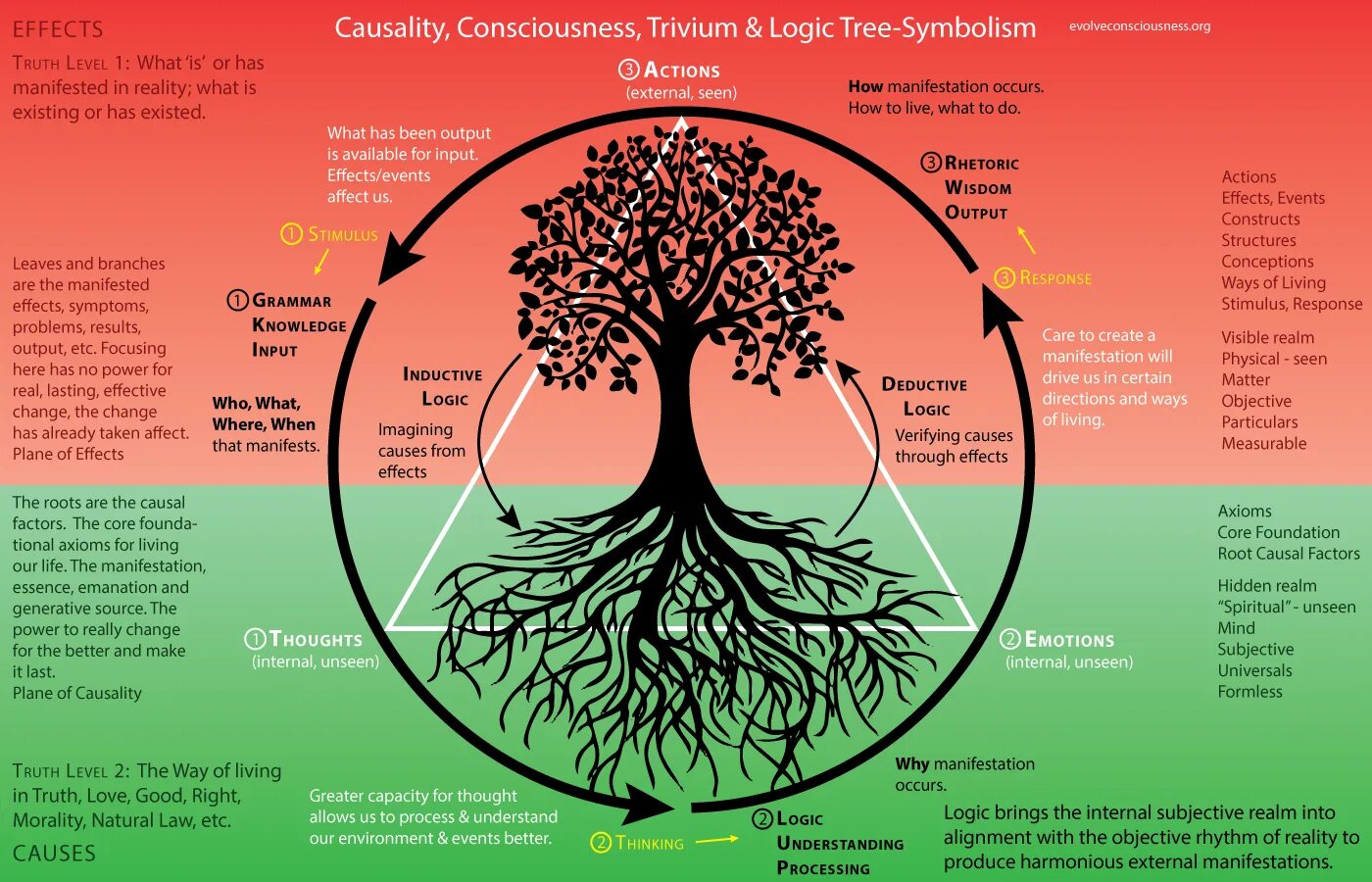 How get the world. Древо жизни в круге. Natural Law. Мусульманское дерево жизни. What is Consciousness?.